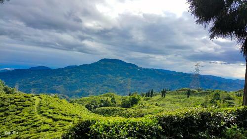 Sharma Homestay