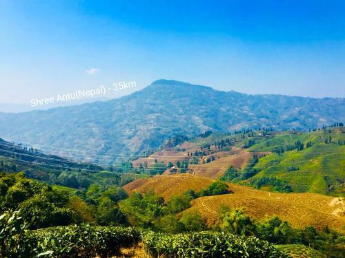 Theeng's Homestay(mirik)
