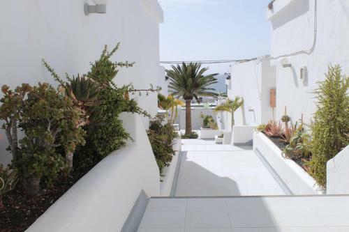 Apartamento New Colonyclub