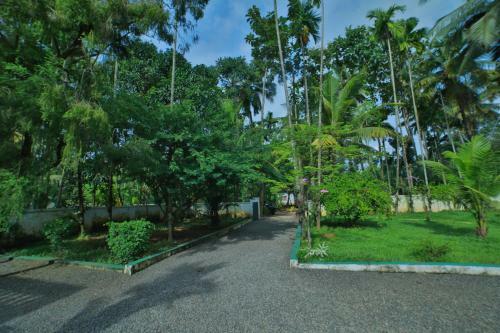 Village Canopy