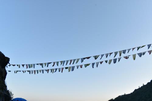 Hotel A Dogs Story, Mussoorie