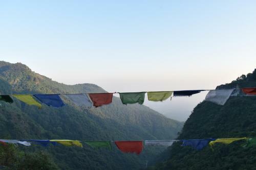 Hotel A Dogs Story, Mussoorie