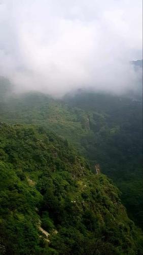 Hotel A Dogs Story, Mussoorie