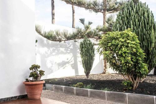 Apartamento Suite Helios Relax A 500m De La Playa