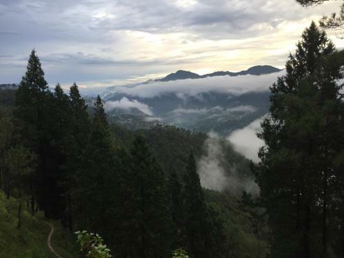 Katyuri Kings Village Homestay