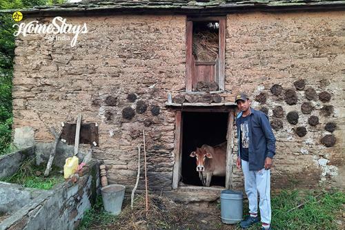 Dwarahat Village Homestay- Pahadi Ghar