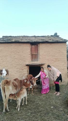 Dwarahat Village Homestay- Pahadi Ghar