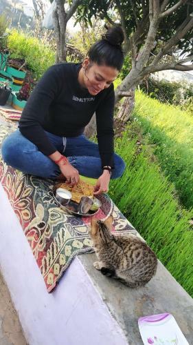 Dwarahat Village Homestay- Pahadi Ghar
