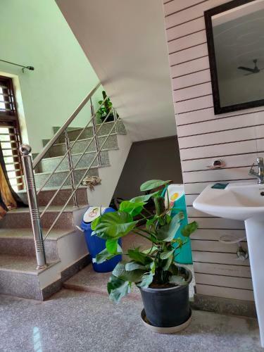 Villa Dr Kauls Farm Near Gurugram