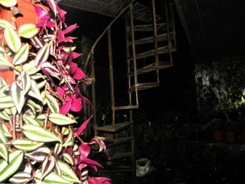 Apartamento Nest In Garden Home Stay