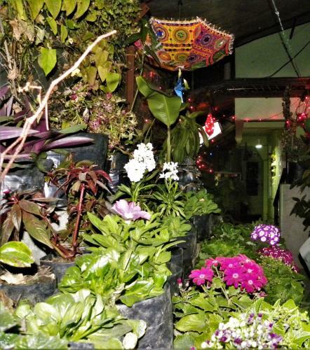Apartamento Nest In Garden Home Stay