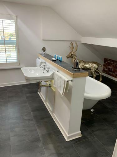 Hostal Ivy Mount Guest House
