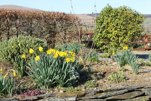 Brynhaul Bed And Breakfast