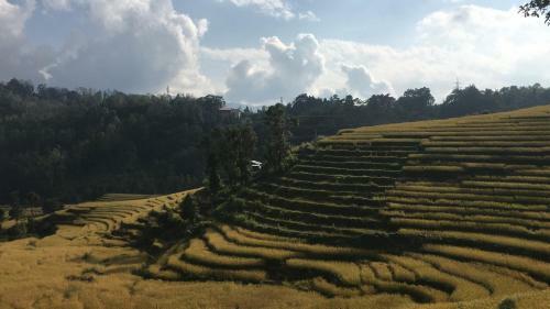 Martam Village Homestay