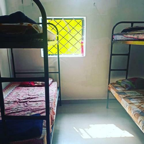 Rewa's Hostel