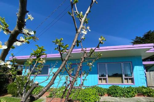 Mystical Dreamhouse & Mermaid's Den