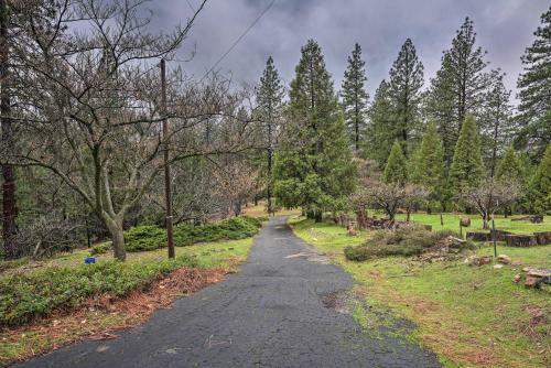Charming And Pet-friendly Pine Grove Retreat!