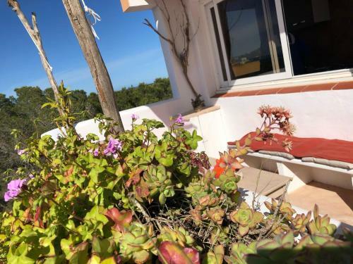 Apartamento �tico Rex II