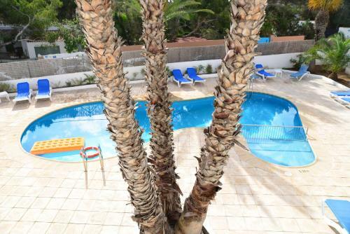 Apartamentos Costamar 1; Apartamento N� 12