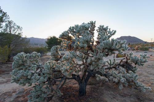 @ Marbella Lane - 10 Acres Oasis Desert Retreat!