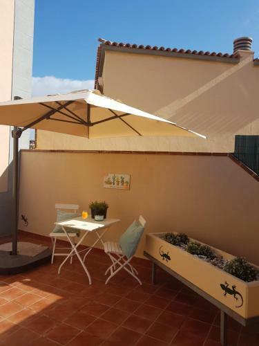 Tenerife Lizards - Duplex In The First Line