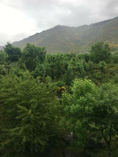 Acollidor Apartament A Vall De Bo�