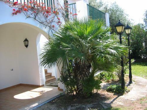 Apartamentos Marivent