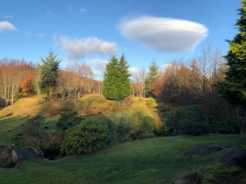 Bed & Breakfast The Golden Larches