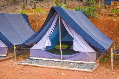 Earth Camping Ella