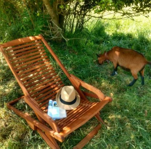 Agroturismo Casa Rural Li�eiros
