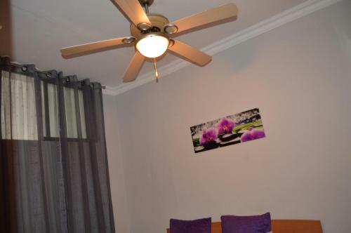 Apartamento Residencial Primavera