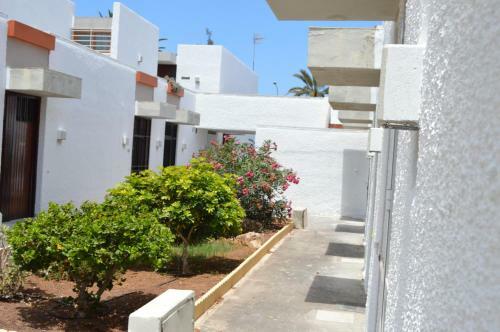 Apartamento Residencial Primavera