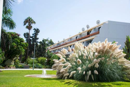 Apartamento Amazing Seasights - Tenerife