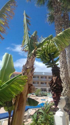 Apartamento Parque Carolina Estudio 203