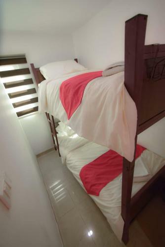 Bed & Breakfast Petra Podss Hostel