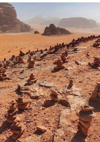 Wadi Rum Watch The Stars