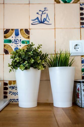 Apartamento Copo