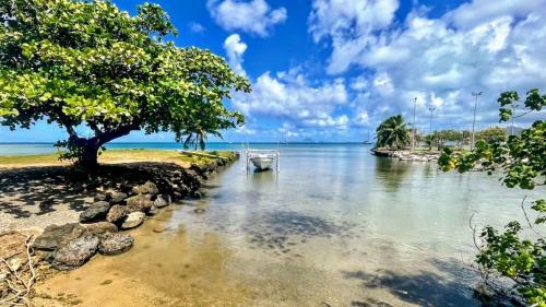 Raiatea - Bungalow Nautilus Pool