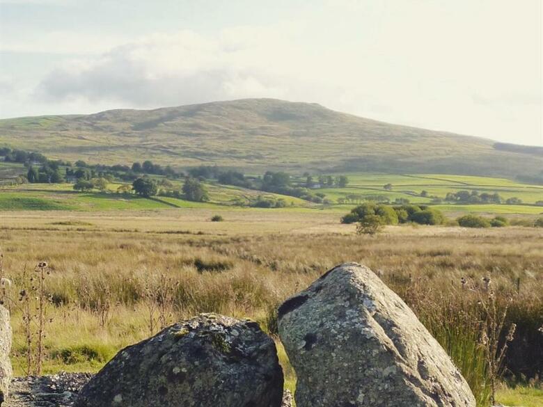 Bed & Breakfast Llwyn Onn Guest House, North Wales