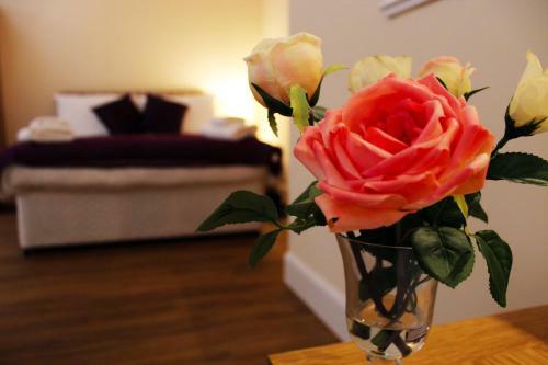 Auchendennan Luxury Self Catering Cottages