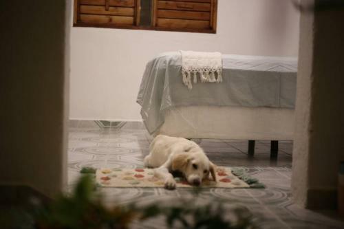 Cozy Beautiful Bacalar Style Apartment