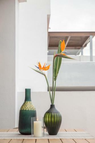 Luxury Apartment Rosita