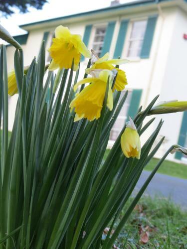 Hostal Elm Grove Country House