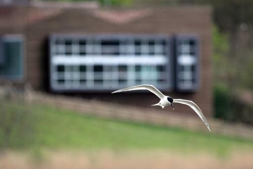 Hotel Urdaibai Bird Center