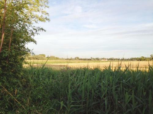 Vissershuis 213