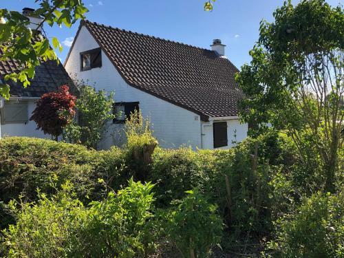 Vissershuisjes ?duinendaele 65?