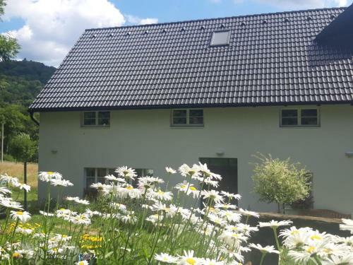 Apartamento Podhansk� Roubenka (farma)