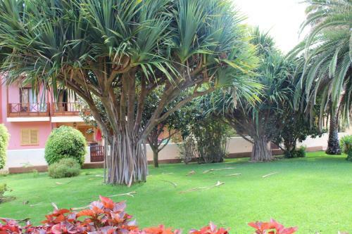 Vivienda Vacacional Los Balconcitos