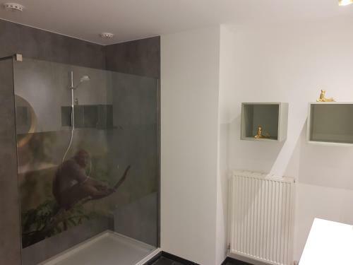 Vakantiewoning 'de Vlaamse Aap'