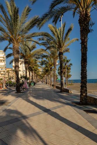 Apartamento Primera L�nea De Playa